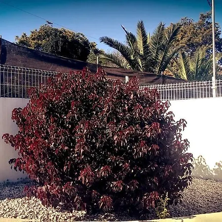 Casa Vacacional En Plena Naturaleza 8 P. Villa La Esperanza (Tenerife)