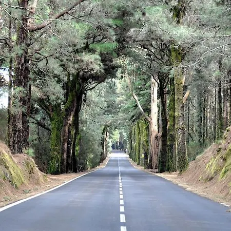 Casa Vacacional En Plena Naturaleza 8 P. Willa
