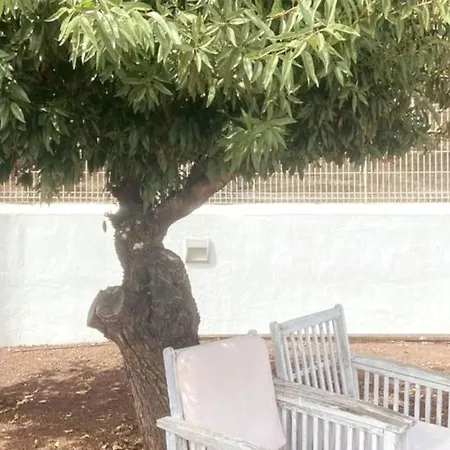 Casa Vacacional En Plena Naturaleza 8 P. * La Esperanza (Tenerife)
