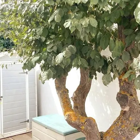 Casa Vacacional En Plena Naturaleza 8 P. Willa La Esperanza (Tenerife)
